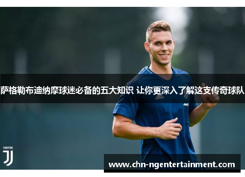 萨格勒布迪纳摩球迷必备的五大知识 让你更深入了解这支传奇球队
