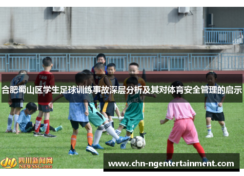 合肥蜀山区学生足球训练事故深层分析及其对体育安全管理的启示