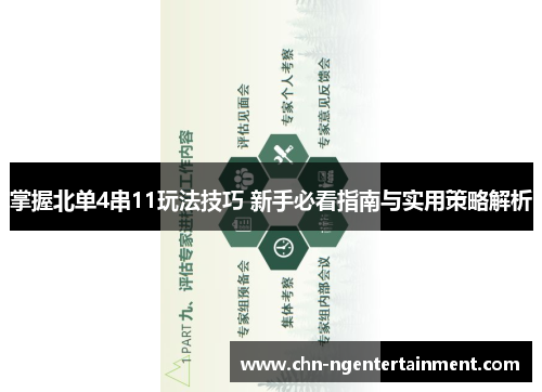 掌握北单4串11玩法技巧 新手必看指南与实用策略解析