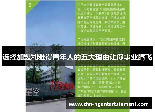 选择加盟利雅得青年人的五大理由让你事业腾飞