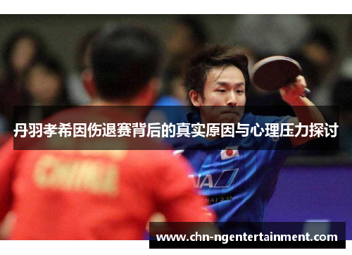 丹羽孝希因伤退赛背后的真实原因与心理压力探讨