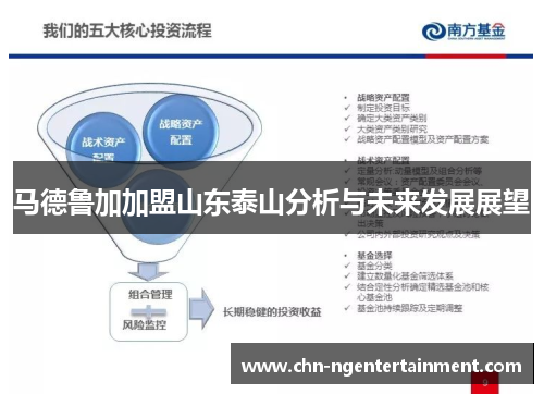 马德鲁加加盟山东泰山分析与未来发展展望