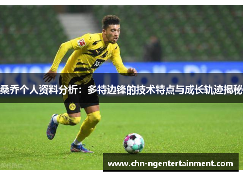 桑乔个人资料分析：多特边锋的技术特点与成长轨迹揭秘