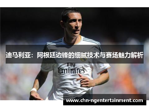 迪马利亚：阿根廷边锋的细腻技术与赛场魅力解析
